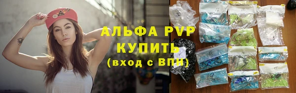 прущие грибы Покров