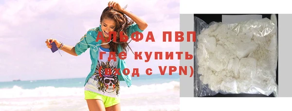 прущие грибы Покров