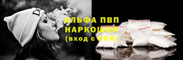 прущие грибы Покров