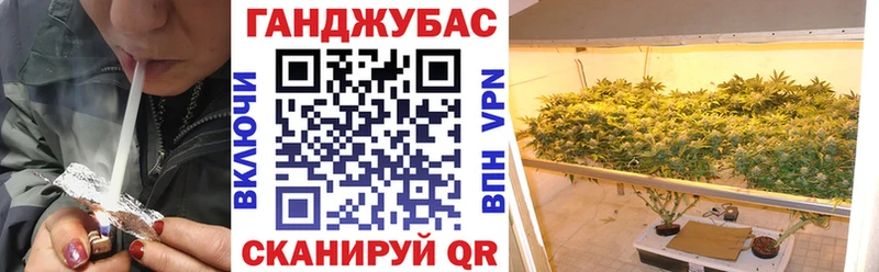 где можно купить наркотик  Томмот  Канабис сатива 